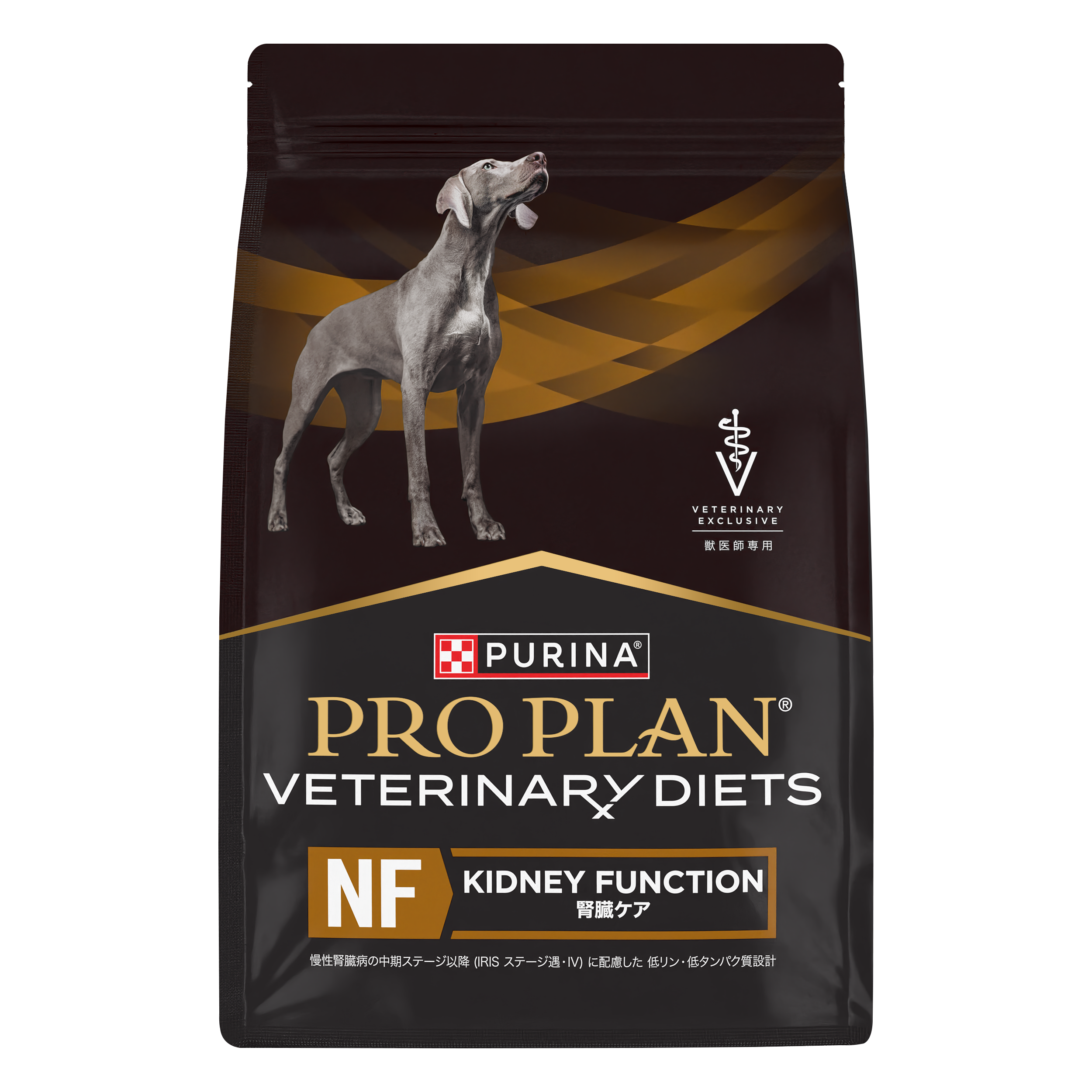 3D - 44393004_Canine NF 2.